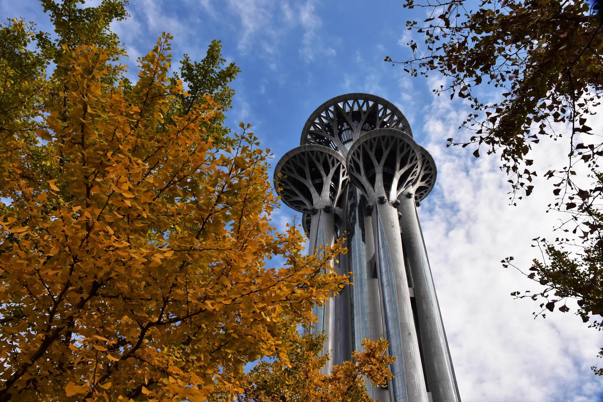 Low-angle view of Beijing's Olympic Tower rising against a blue sky, framed by golden autumn foliage.