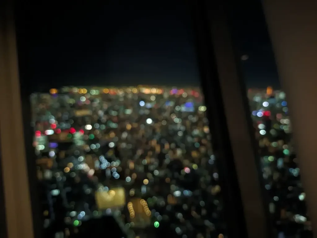 A somewhat blurry view of the entire city from Tokyo Skytree. The city is entirely lit up to reach the horizon.