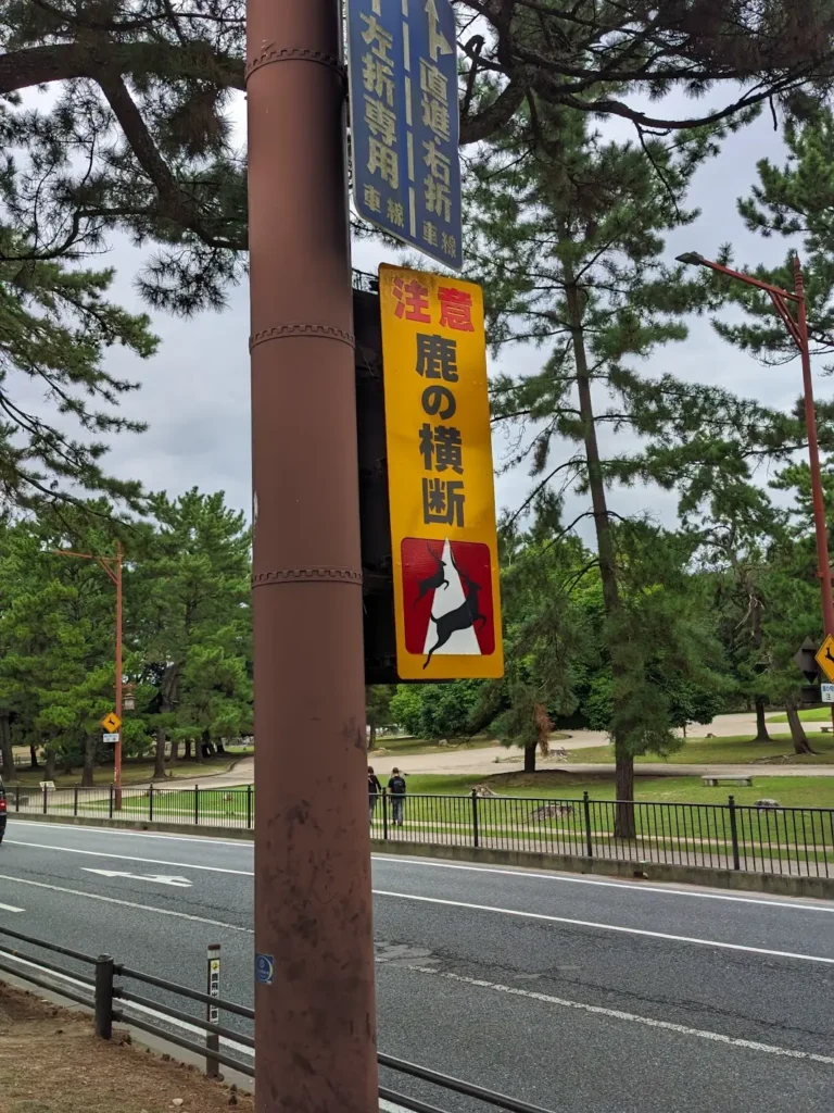 A roadside sign that reads "beware, deer crossing."