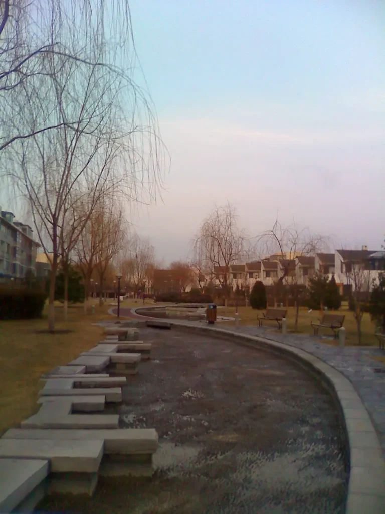 A blurry, fuzzy picture at dawn of the community, several houses lined up in the background, a path in the foreground.