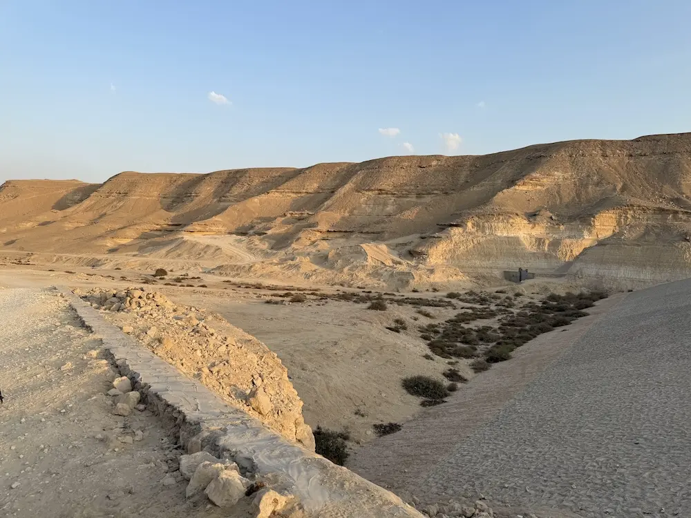 In the desert during daytime, a sand mountain in the background and some bushes in the foreground.